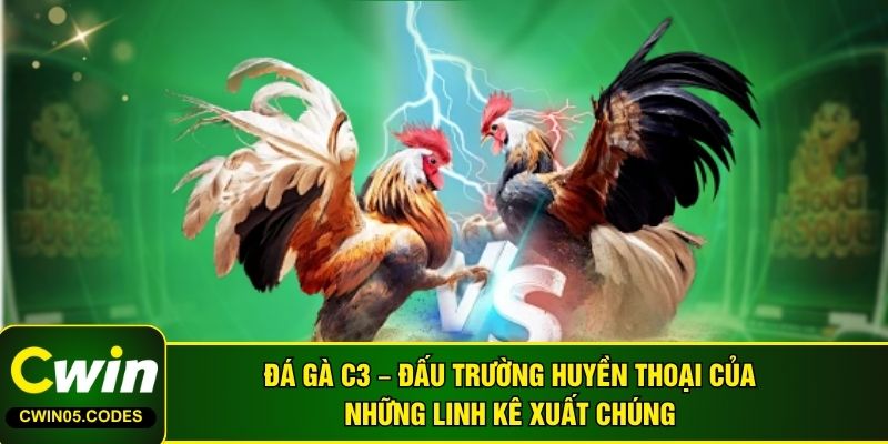 Đá Gà C3 – Đấu Trường Huyền Thoại Của Những Linh Kê Xuất Chúng
