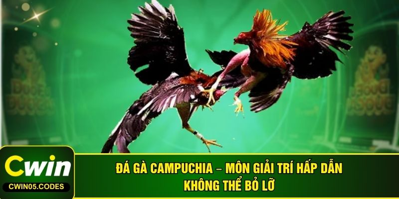 Đá gà Campuchia – Môn Giải Trí Hấp Dẫn Không Thể Bỏ Lỡ