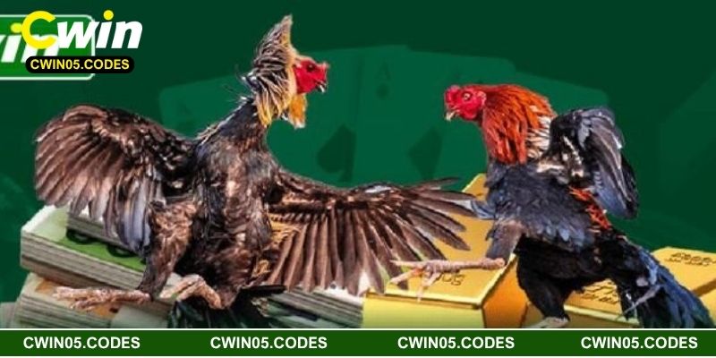 Mẹo chơi đá gà Cwin hiệu quả